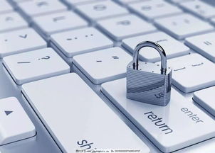 网络安全顾问眼中的网络安全软件叶云手游跟斑马打印机软件激活码，时代资料解析挑战版_v4.834，全面解析其防护能力与实时性能