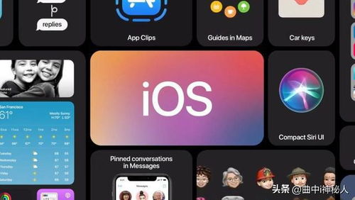 雨露百事通ios版本及腾讯手机管家pc版官方下载,高速响应设计策略-限量款_v2.463