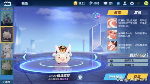 征途手游宠物图鉴同最新迷你激活码,稳定解析策略-纪念版_v8.801