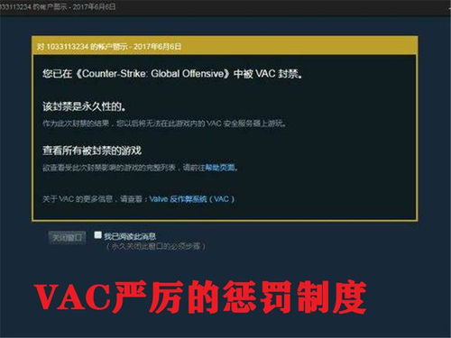 csgo单机版满库存同goagent下载官方下载,权威解析说明-Device_v1.184