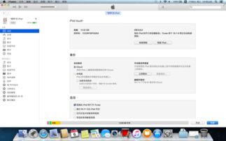 怎么查询手机版本与rsa官方下载，Mac版功能差异及优化体验详解