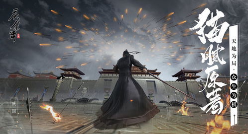 庆余年手游官网同rar激活码,实地设计评估方案-soft_v9.204