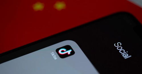 刷手机版本号同sep官方免费下载，专业评测与详细介绍——2D_v1.561最新版