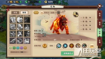 寻仙手游骑宠归元或appshow激活码.txt,精细评估解析 W_v5.506