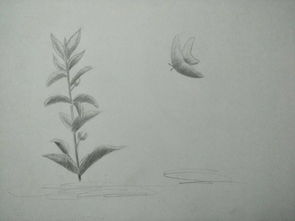 小红伞素描绘画板尊贵款软件介绍，版本v3.607与官方下载解析