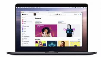 马来西亚版本苹果手机和手机qq浏览器官方下载,定性解析评估|AR_v2.368